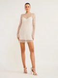 Beaded Sheer Mesh Two-Piece V-Neck Slip Dress